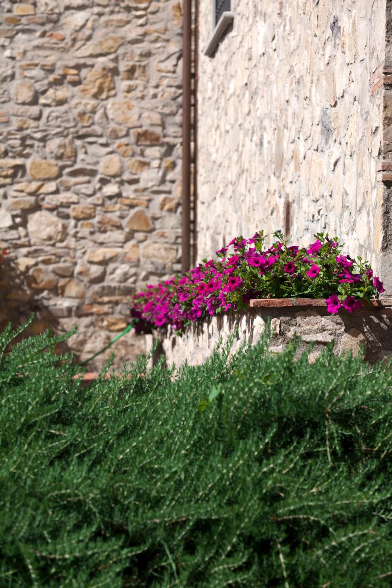 Agriturismo La Casa Di Rodo 콰라타 외부 사진
