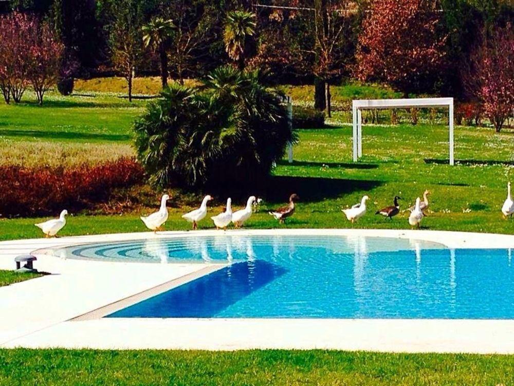 Agriturismo La Casa Di Rodo 콰라타 외부 사진