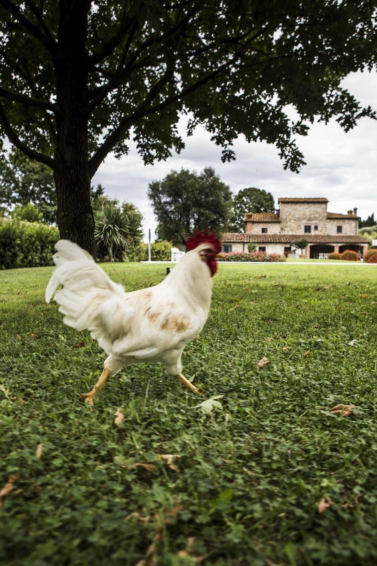 Agriturismo La Casa Di Rodo 콰라타 외부 사진